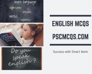 english-mcqs-pscmcqs.com-1